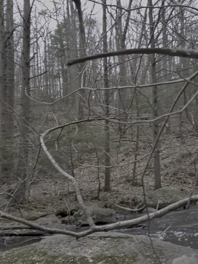 Hacklebarney State Park - Long Valley, NJ