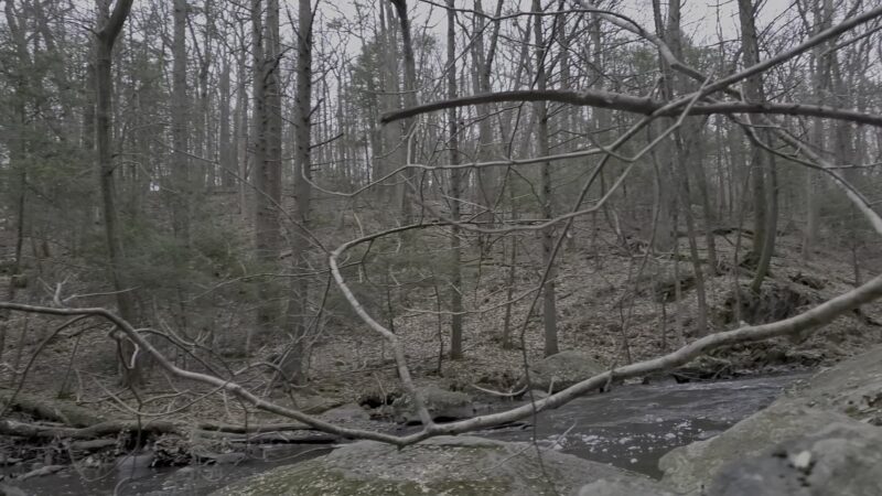 Hacklebarney State Park - Long Valley, NJ