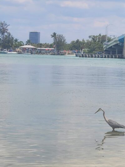 Longboat Key Public Beach Access & Parking - Longboat Key, FL