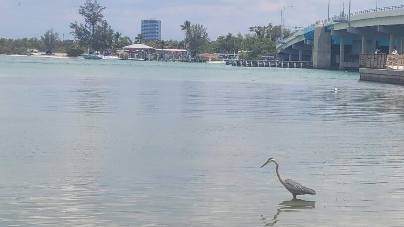 Longboat Key Public Beach Access & Parking - Longboat Key, FL