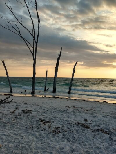 Beer Can Island - Longboat Key, FL