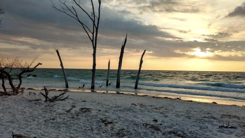 Beer Can Island - Longboat Key, FL