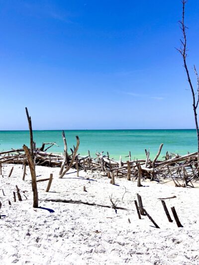 Beer Can Island - Longboat Key, FL