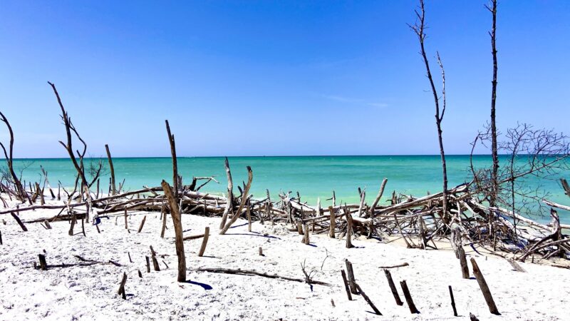 Beer Can Island - Longboat Key, FL