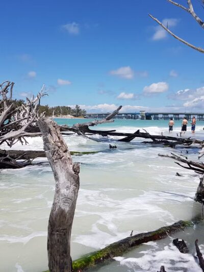 Beer Can Island - Longboat Key, FL