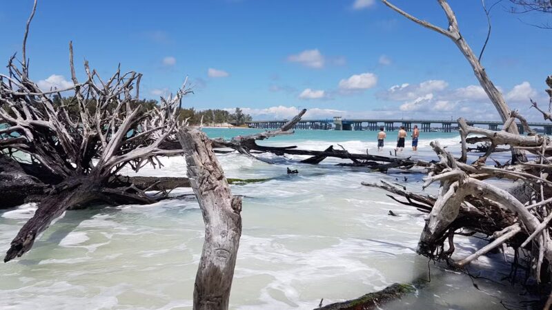 Beer Can Island - Longboat Key, FL