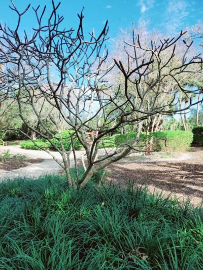 Joan M Durante Community Park - Longboat Key, FL