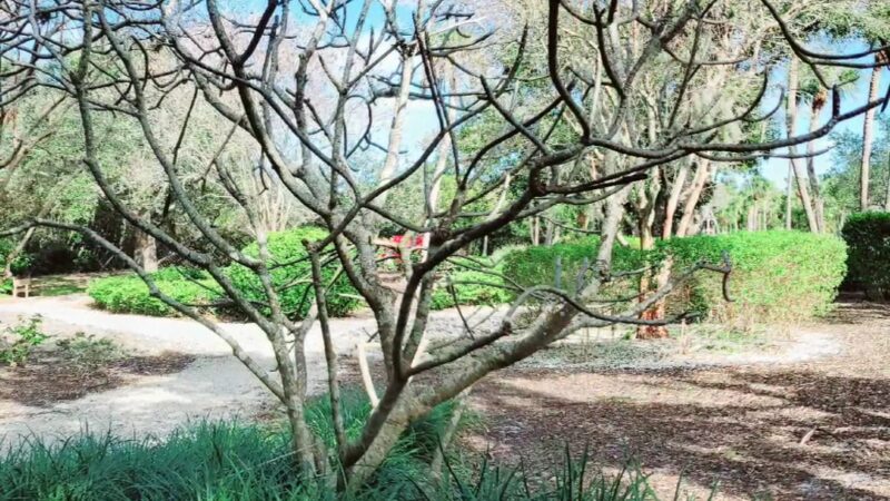 Joan M Durante Community Park - Longboat Key, FL