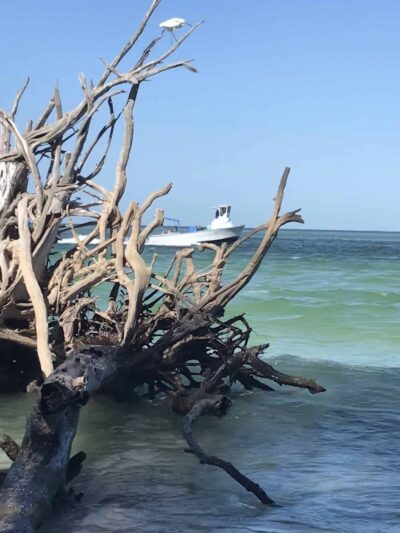 Public Beach Access - Longboat Key, FL