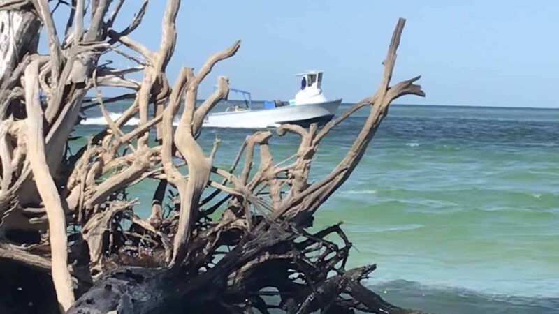 Public Beach Access - Longboat Key, FL