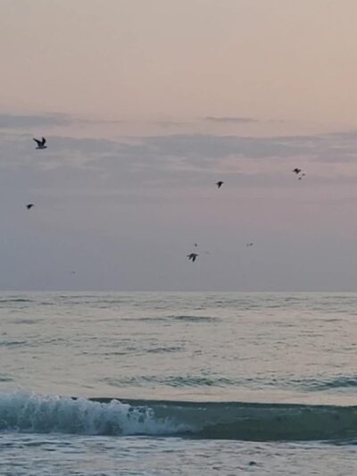 Public Beach Access - Longboat Key, FL