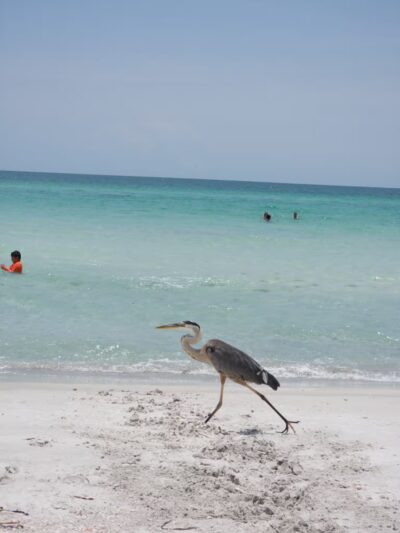 Public Beach Access - Longboat Key, FL