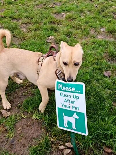 City of Longview Off Leash Dog Park - Longview, WA