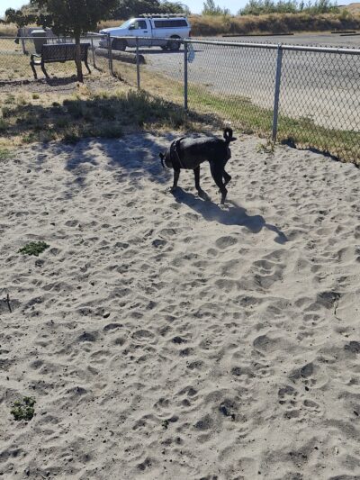 City of Longview Off Leash Dog Park - Longview, WA