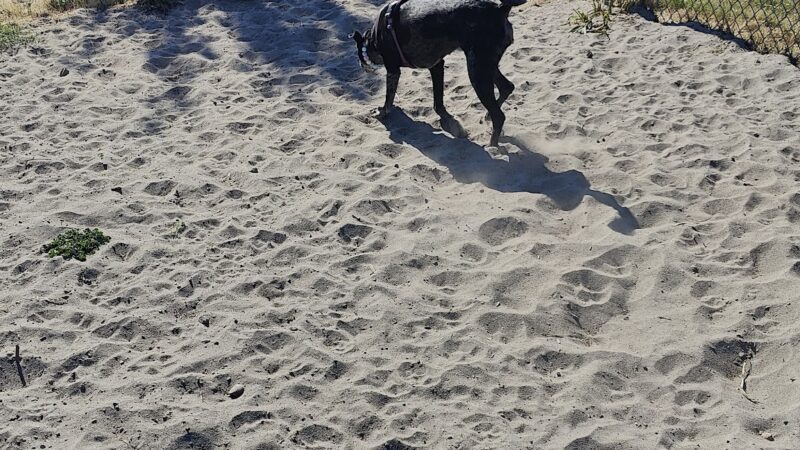 City of Longview Off Leash Dog Park - Longview, WA