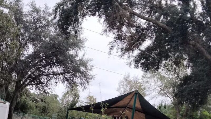 Sandalwood Park - Longwood, FL