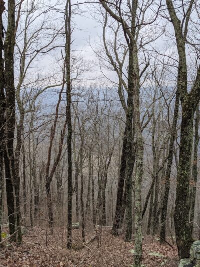 Ochs Gateway Trailhead - Lookout Mountain, GA
