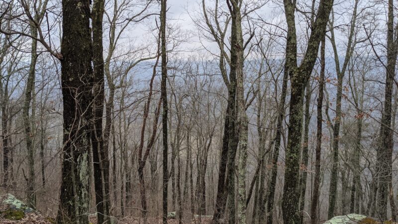 Ochs Gateway Trailhead - Lookout Mountain, GA