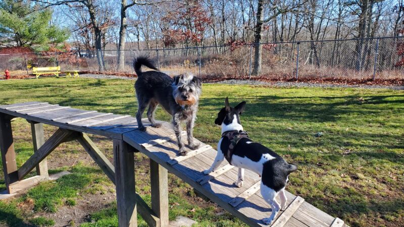 Hemlock Farms Dog Park - Lords Valley, PA
