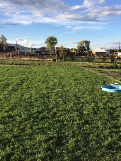 North Mesa Dog Park - Los Alamos, NM