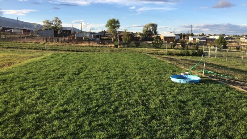 North Mesa Dog Park - Los Alamos, NM