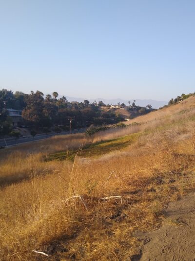 Stocker Corridor Trail - Los Angeles, CA