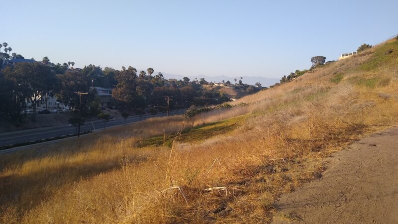 Stocker Corridor Trail - Los Angeles, CA