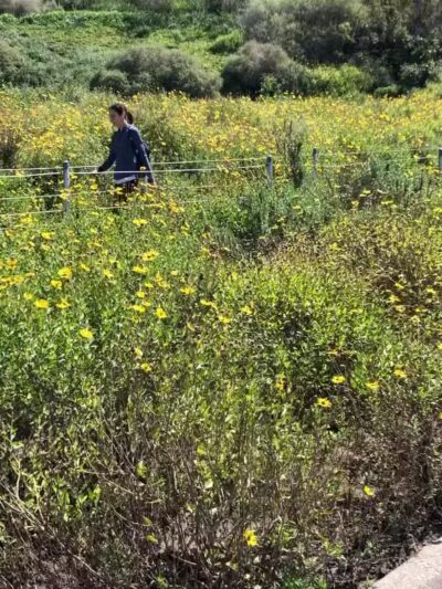 Stocker Corridor Trail - Los Angeles, CA