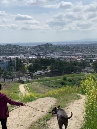 Ascot Hills Park - Los Angeles, CA