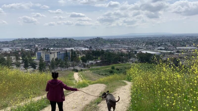 Ascot Hills Park - Los Angeles, CA