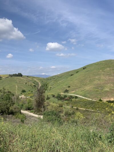 Ascot Hills Park - Los Angeles, CA
