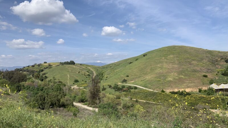 Ascot Hills Park - Los Angeles, CA