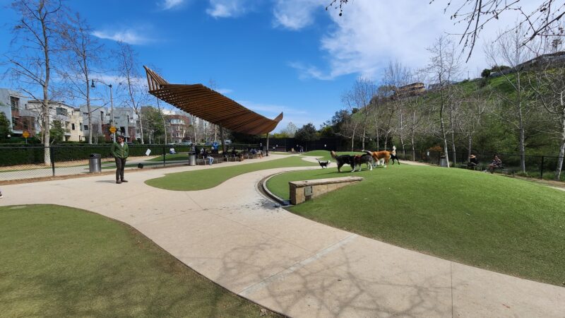 Bluff Creek Dog Park - Los Angeles, CA