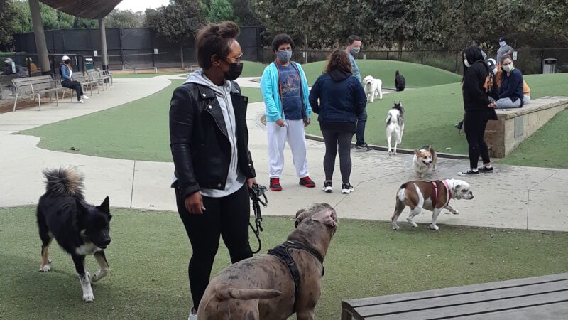 Bluff Creek Dog Park - Los Angeles, CA