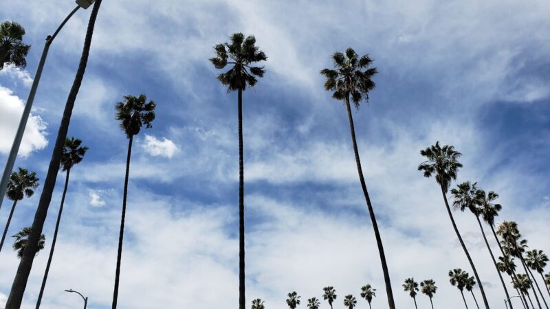 Chesterfield Square Park - Los Angeles, CA