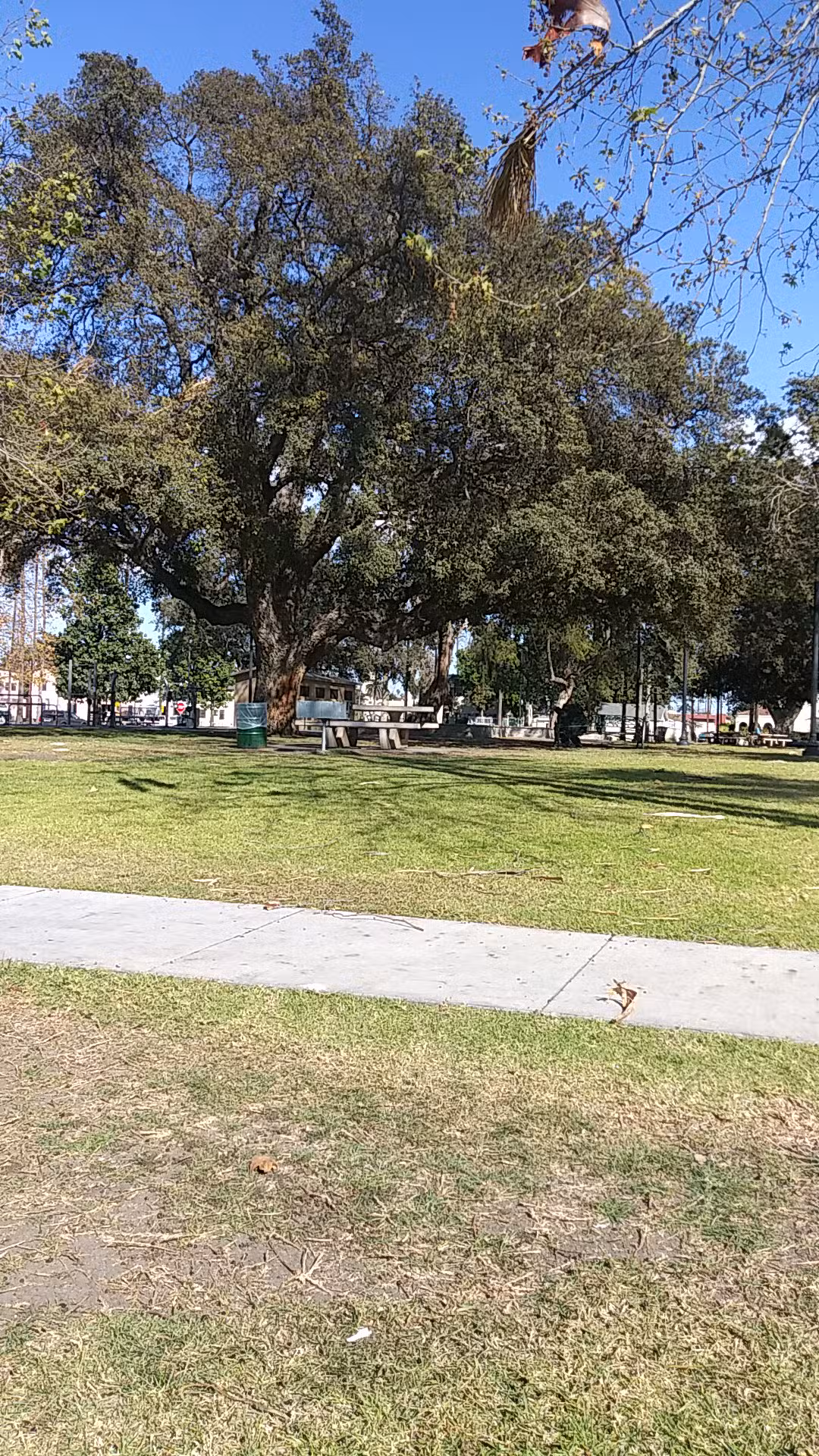 Chesterfield Square Park - Los Angeles, CA