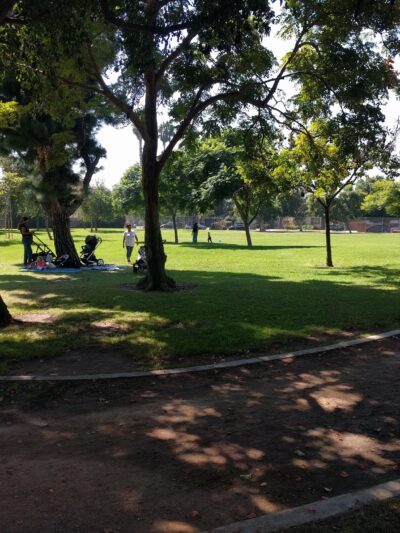 Culver West Alexander Park - Los Angeles, CA