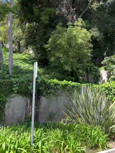 De Neve Square Park - Los Angeles, CA