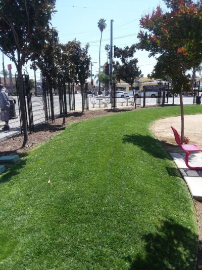 Gage & Avalon Park - Los Angeles, CA