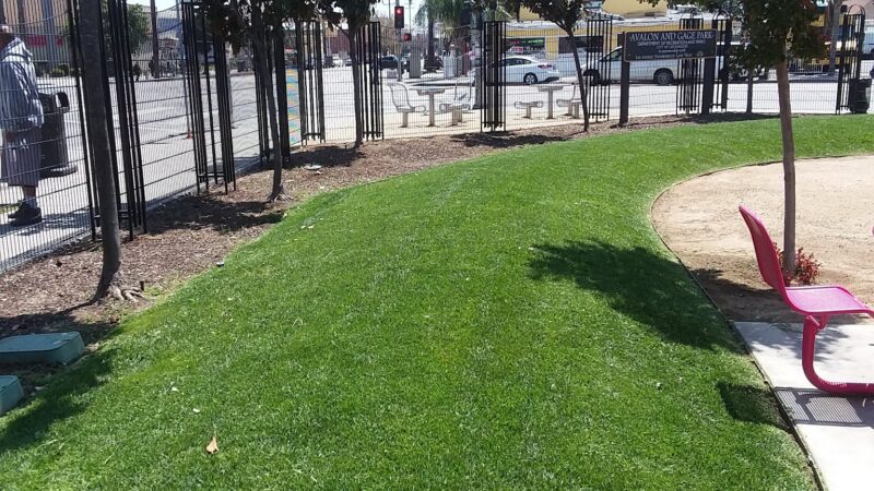 Gage & Avalon Park - Los Angeles, CA