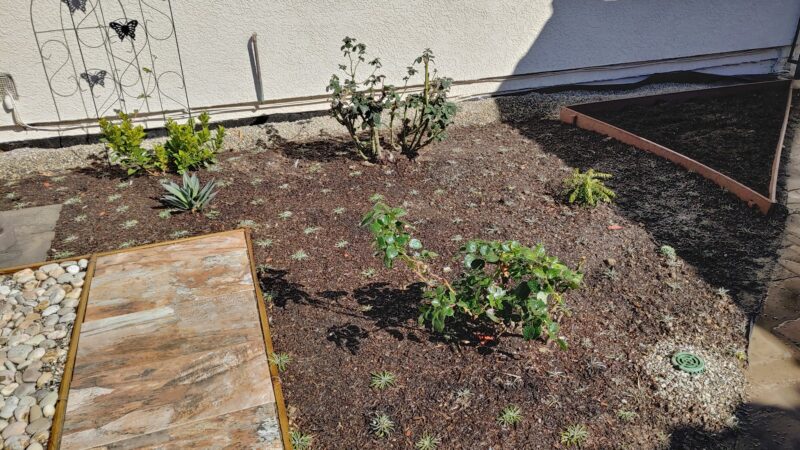 Gage & Avalon Park - Los Angeles, CA