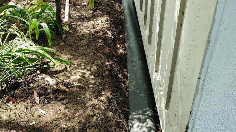 Gage & Avalon Park - Los Angeles, CA