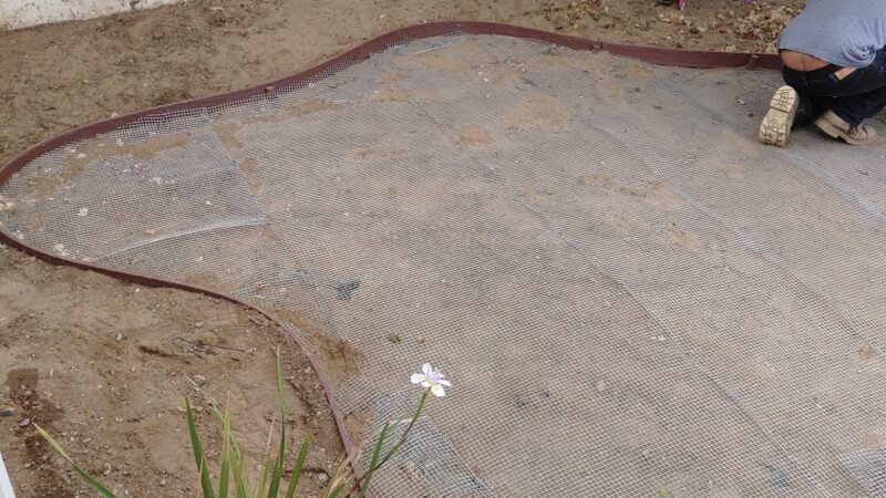 Gage & Avalon Park - Los Angeles, CA