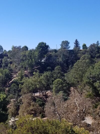 Good dog park - Los Angeles, CA