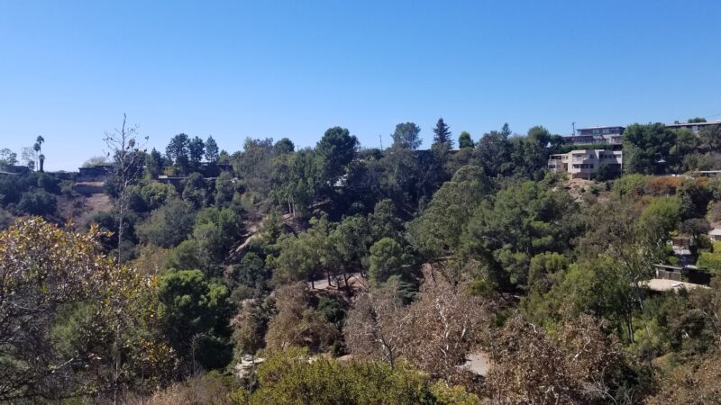 Good dog park - Los Angeles, CA