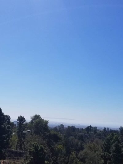 Good dog park - Los Angeles, CA