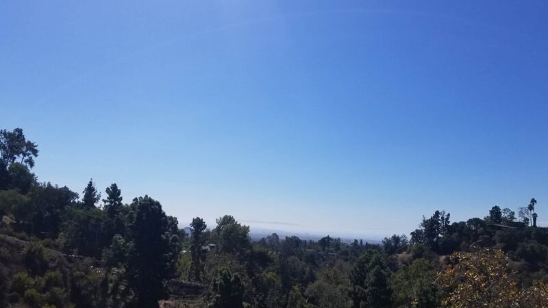 Good dog park - Los Angeles, CA