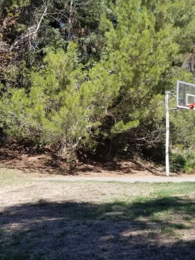 Good dog park - Los Angeles, CA