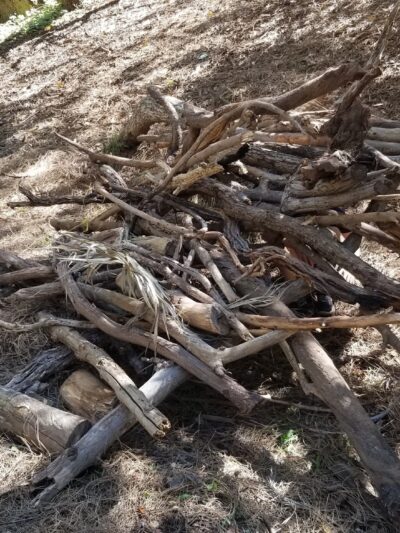 Good dog park - Los Angeles, CA