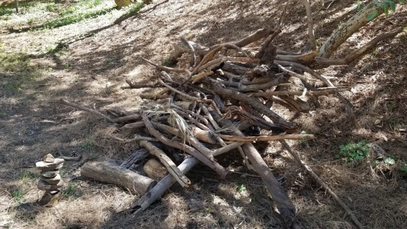 Good dog park - Los Angeles, CA